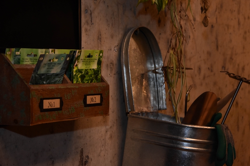 Kitchen Yard on Saturday Night